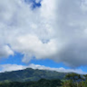 Meet your Posher, Will